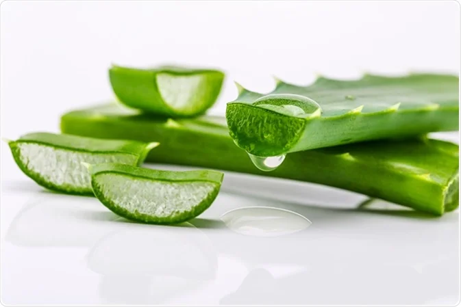 Jerawat di Dahi: 6 Penyebab dan Cara Cepat Menghilangkannya - Lidah Buaya atau Aloevera