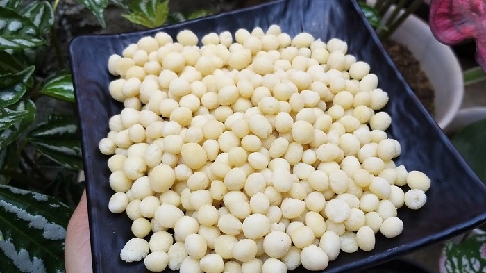 Pilus Kletuk