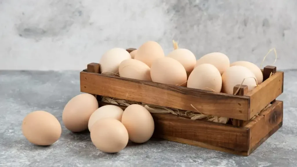 Telur