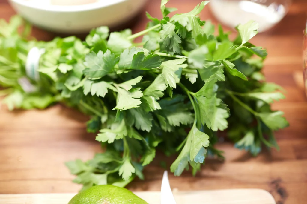 Daun Peterseli