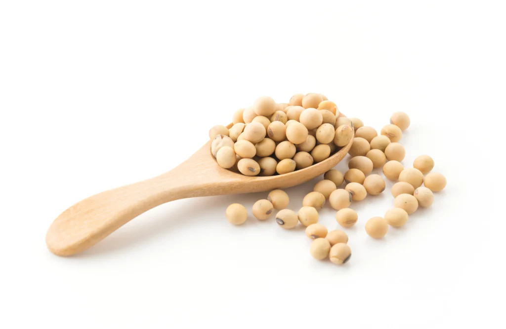 Manfaat Kacang Kedelai untuk Kesehatan