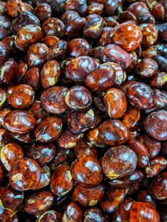 5 manfaat jengkol untuk kesehatan