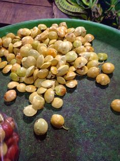 6 masakan manfaat jengkol untuk kesehatan