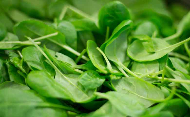 jenis sayuran daun hijau
