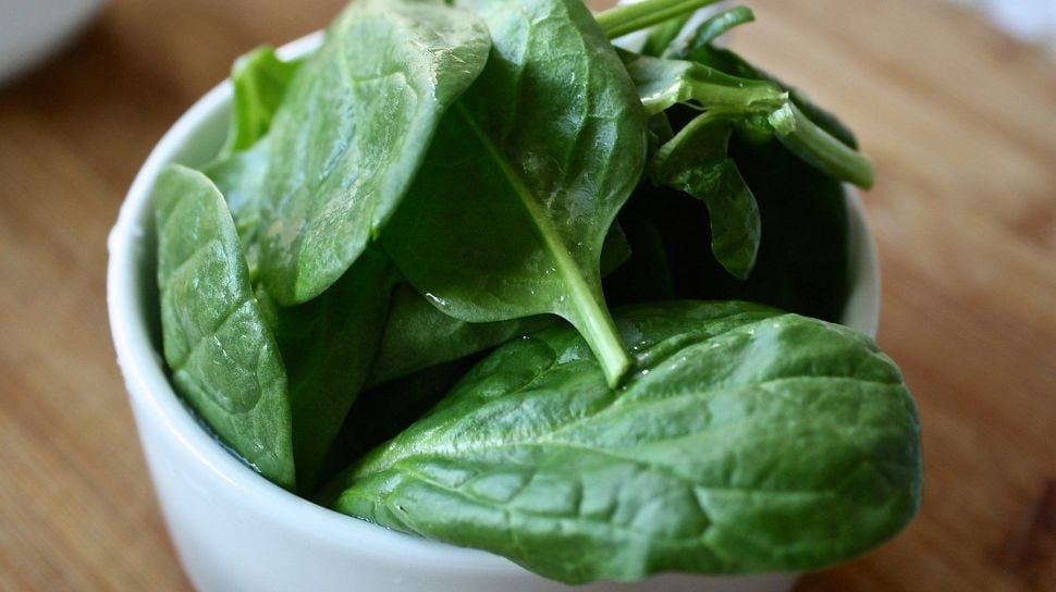 jenis sayuran daun hijau