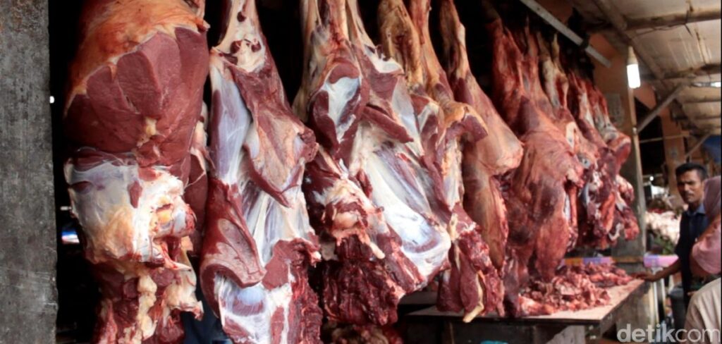 manfaat daging rusa