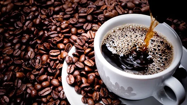 macam jenis biji kopi