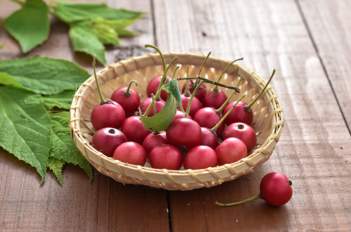 manfaat kandungan buah ceri